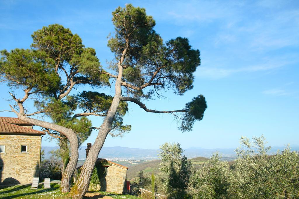 Relais Il Pozzeto Bed & Breakfast Anghiari Dış mekan fotoğraf